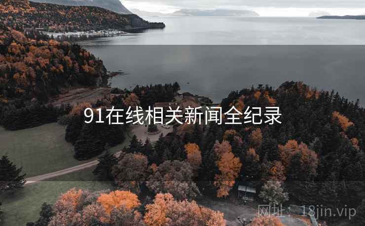 91在线相关新闻全纪录