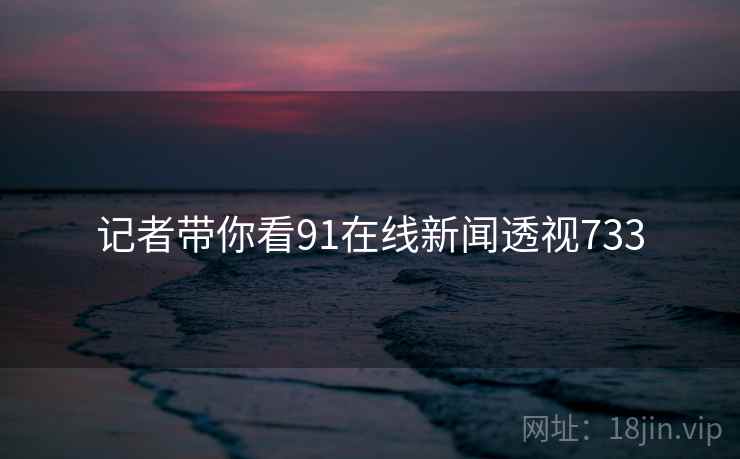 记者带你看91在线新闻透视733